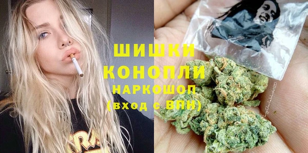 гидра Михайловск
