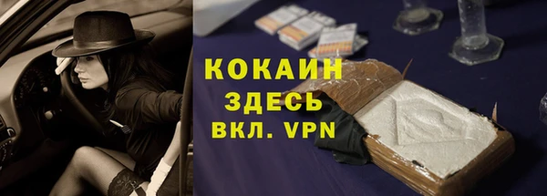 гидра Михайловск