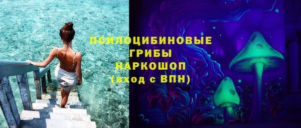 гидра Михайловск