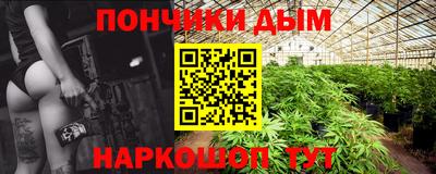 твердый Кингисепп