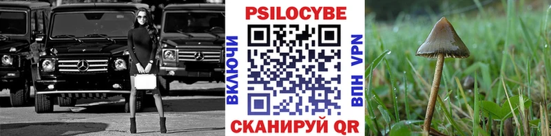 купить наркотики сайты  Чусовой  Псилоцибиновые грибы прущие грибы 